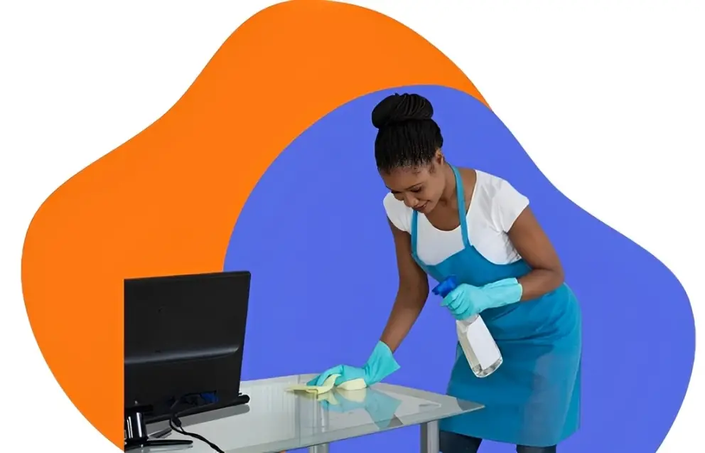 professional cleaning service ontario canada