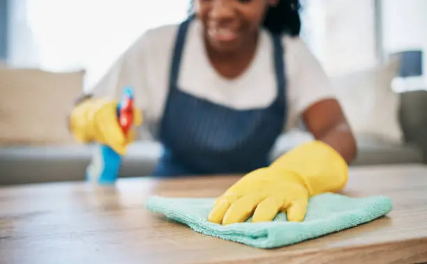 professional cleaning services canada